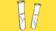 Polluted water, damaged buildings and a dependency on fossil fuels are all big problems which are encountered by mankind daily. However, three unique solutions that...
