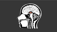 Mind-reading would be an incredibly useful skill to have in many social situations. Given the size and complexity...