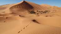Desert Sands: Moving dunes are a problematic natural hazard for builders in arid regions. It was a thriving civilisation. Its people spoke and wrote an advanced language. […]