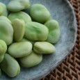 In the Mediterranean “bean-dom” one ruler conquered for centuries until  America was discovered and trading gave rise to cultivation of foreign beans in the region.  […]