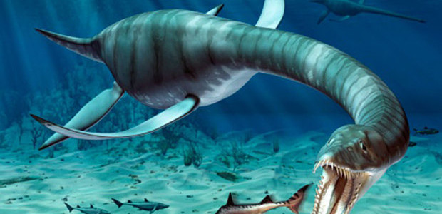 A “previously unknown species of dinosaur” may have been discovered at a quarry site near Peterborough, Cambridgeshire. The five and half metre long plesiosaur, nicknamed […]