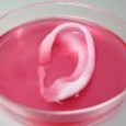 Researchers at the Wake Forest Institute for Regenerative Medicine have built a 3D bioprinting system capable of generating living tissue and entire body parts to […]