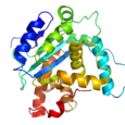 Prions are infectious agents comprised of proteins that can fold in many ways and still be functional. They cause other, normal proteins to fold into […]