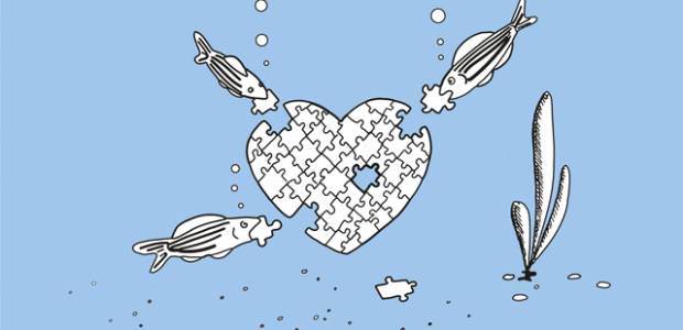 One in three deaths in the UK occur as a result of heart and circulatory diseases and, for the moment, there’s no cure for a […]