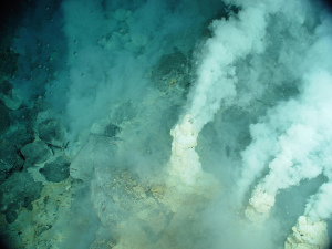 Hydrothermal vent