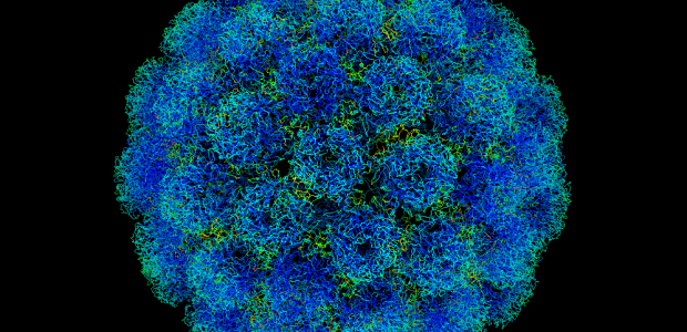   A well-known cause of many human diseases, bacteria have played a key role in our history. In the 14th century, the Black Death reduced […]