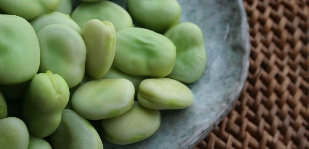 In the Mediterranean “bean-dom” one ruler conquered for centuries until  America was discovered and trading gave rise to cultivation of foreign beans in the region.  […]