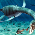 A “previously unknown species of dinosaur” may have been discovered at a quarry site near Peterborough, Cambridgeshire. The five and half metre long plesiosaur, nicknamed […]