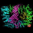 A new technique, devised by scientists working at DESY (German electron synchrotron), could revolutionise crystallography. The research lead by Professor Henry Chapman should allow easier […]