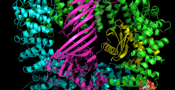 A new technique, devised by scientists working at DESY (German electron synchrotron), could revolutionise crystallography. The research lead by Professor Henry Chapman should allow easier […]