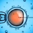 UK scientists have been granted permission by the UK Human Fertilisation and Embryology Authority (HFEA) to genetically modify human embryos, the first national regulatory authority […]