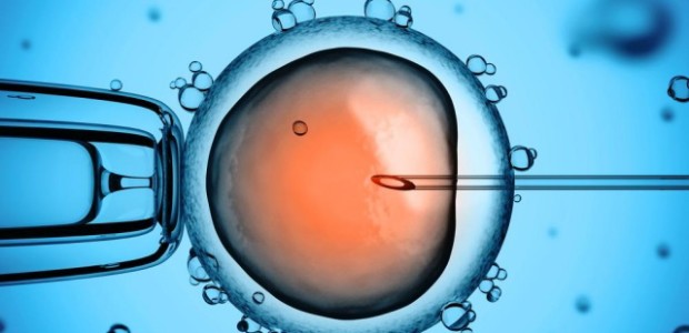 Recent developments in gene editing technologies have caused the dialogue surrounding the prospect of ‘designer babies’ to reach a new pitch. Research recently published in […]