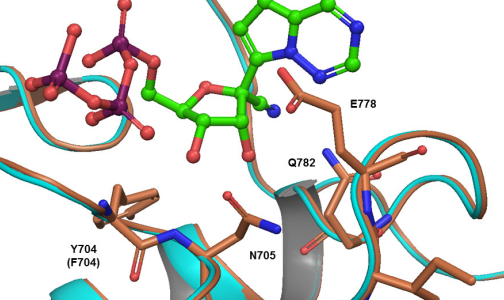 Daily injections of GS-5734, a small-molecule antiviral agent, protected 100% of infected Rhesus monkeys against lethal disease when administered three days after exposure, with markedly decreased […]