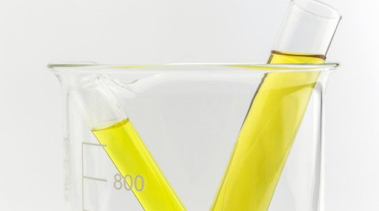   The search is on for new sources of renewable energy and a promising field for these sources is bioenergy, the energy derived from living […]