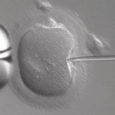 We’ve all heard of in vitro fertilization (IVF), a procedure which has helped countless women conceive through fertilizing egg cells outside their body. Last year a paper published […]