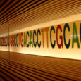 The alphabet of life as we know it is quite simple. Four letters — that is all you really need to speak the language of life. […]